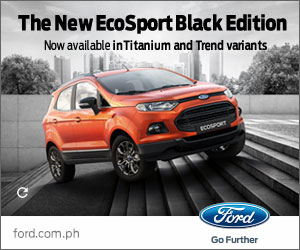 Ford Ecosport Banner